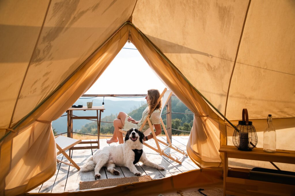 glamping or glamour camping with a dog